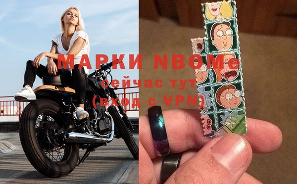 дмт Богданович