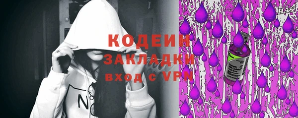 дмт Богданович