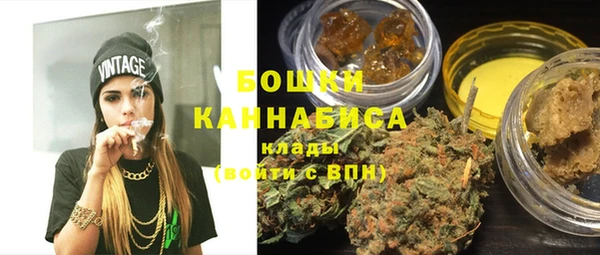 дмт Богданович