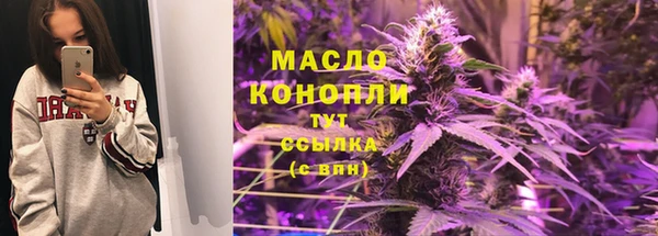 дмт Богданович