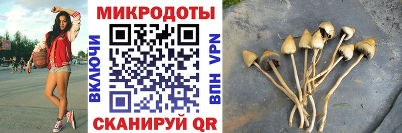 Псилоцибиновые грибы MAGIC MUSHROOMS Волосово